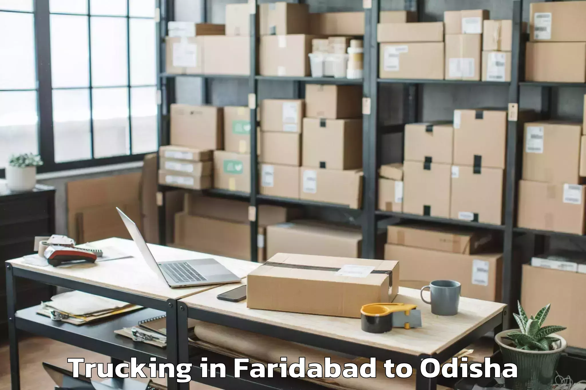 Easy Faridabad to Loisingha Trucking Booking